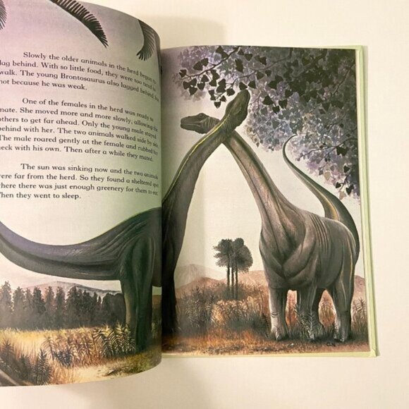 Vintage Brontosaurus by Angela Sheehan and Colin Newman Rourke Publishing - Picture 12 of 14